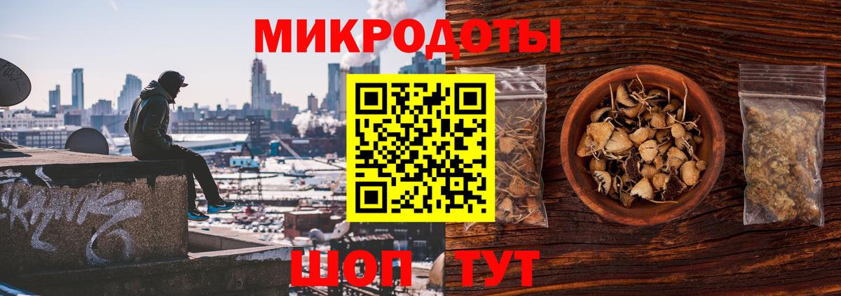 Галлюциногенные грибы Psilocybe Добрянка