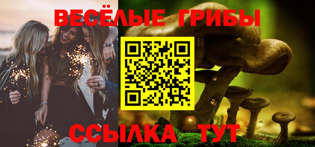 Галлюциногенные грибы прущие грибы  Вход с VPN  купить наркотики сайты  Добрянка 
